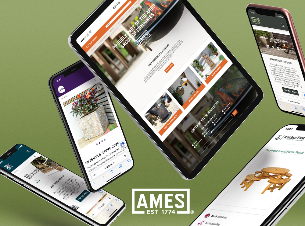AMES UK websites